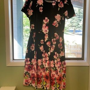 Lularoe Amelia